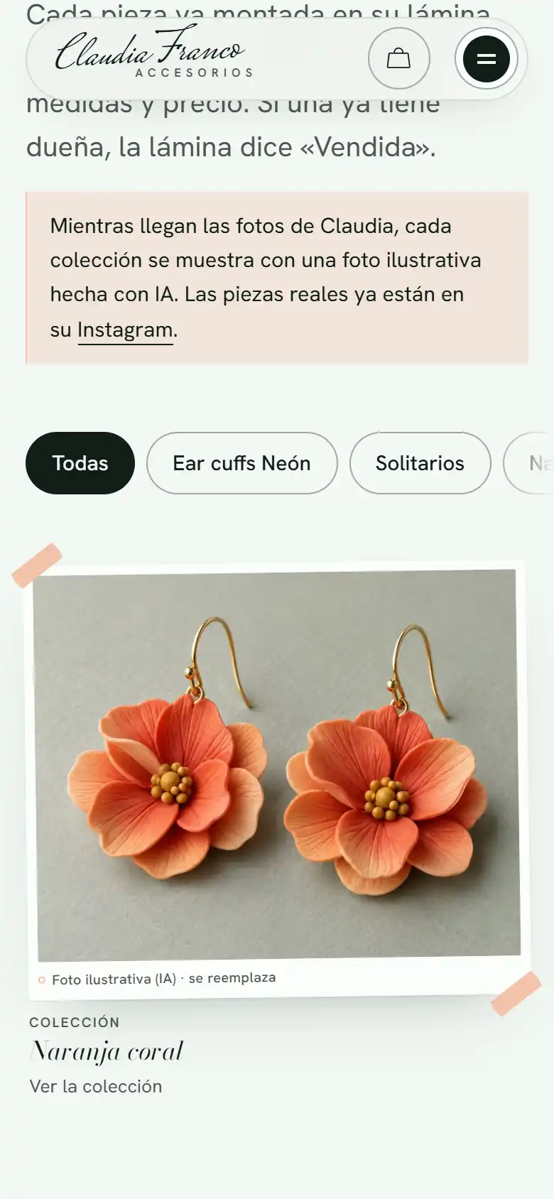 Claudia Franco Accesorios: otra pantalla del proyecto.